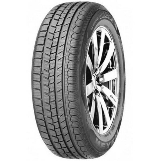 Шина Roadstone Eurovis Alpine Wh1 205/55R16 91H Шина Roadstone Eurovis Alpine Wh1 205/55R16 91H